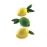 Професійна силіконова форма «LIMONE&LIME 120» для випічки, 480 мл Професійна силіконова форма «LIMONE&LIME 120» для випічки, 480 мл