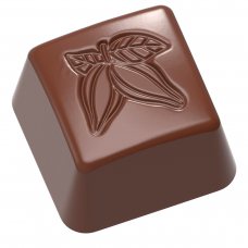 Форма для шоколада «Какао» 26x26x16 мм, 24 шт.
