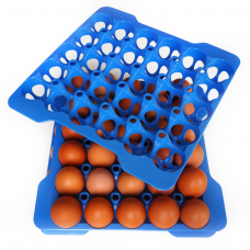 Лоток для яиц, синий 290x290x40