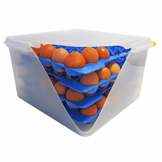 Ёмкость для лотка для яиц 354x325x200, в комплекте 4 шт. лотков (для арт. 73056)
