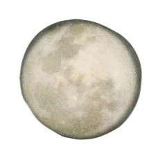 Тарілка кругла з фарфорової кераміки «Selene» | 22 см